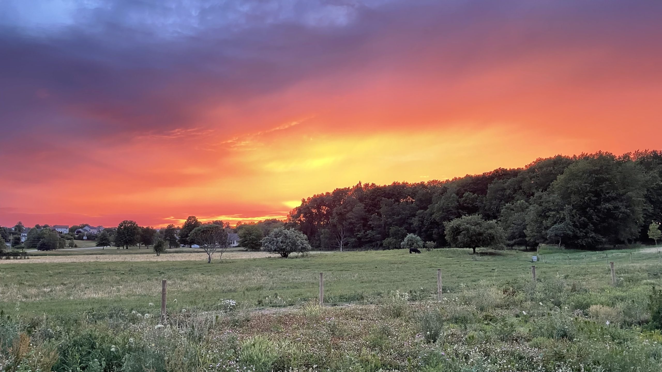 Schmader Farms pasture and barn