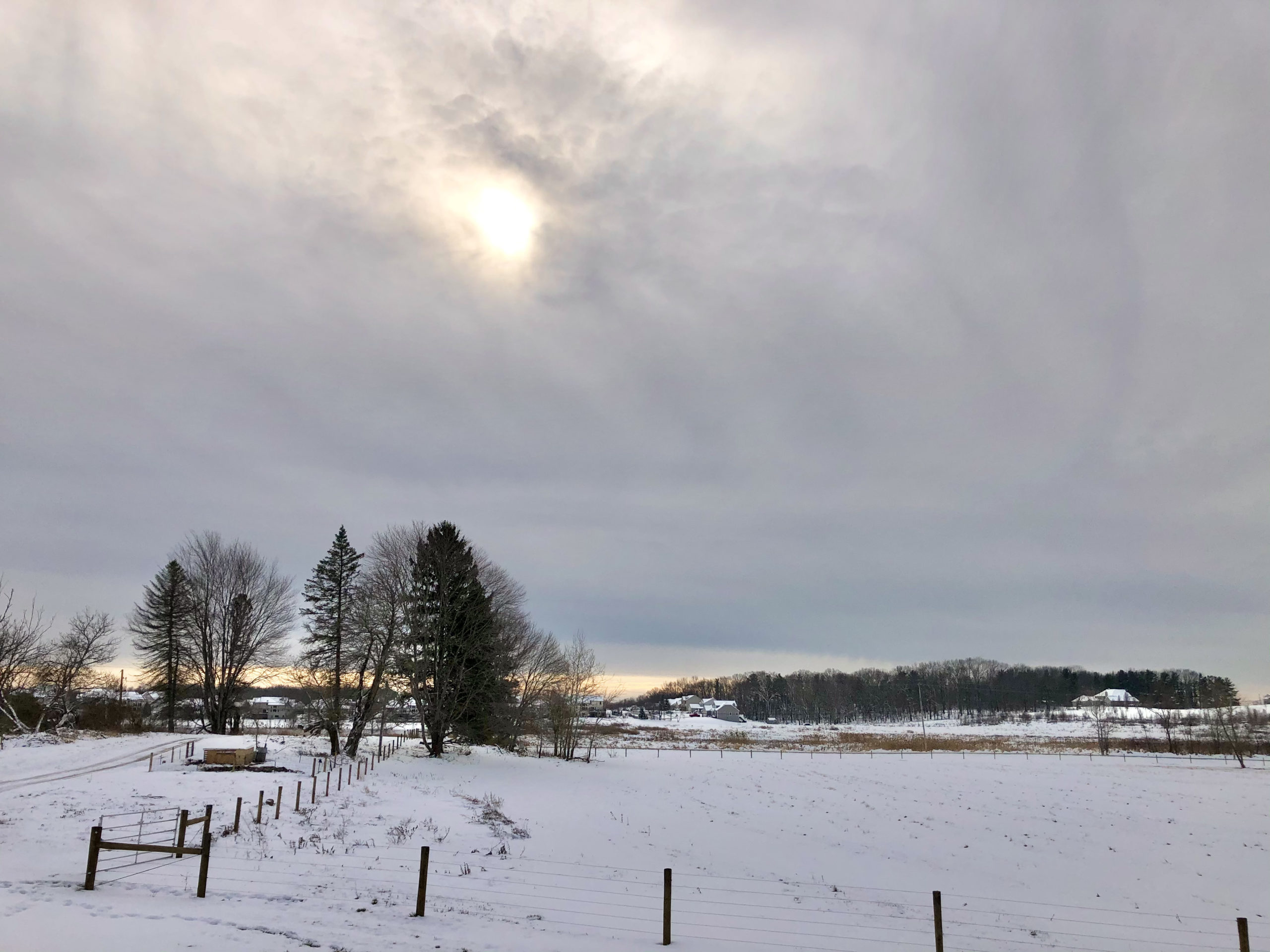 Schmader Farms pasture in winter with snow and fence posts