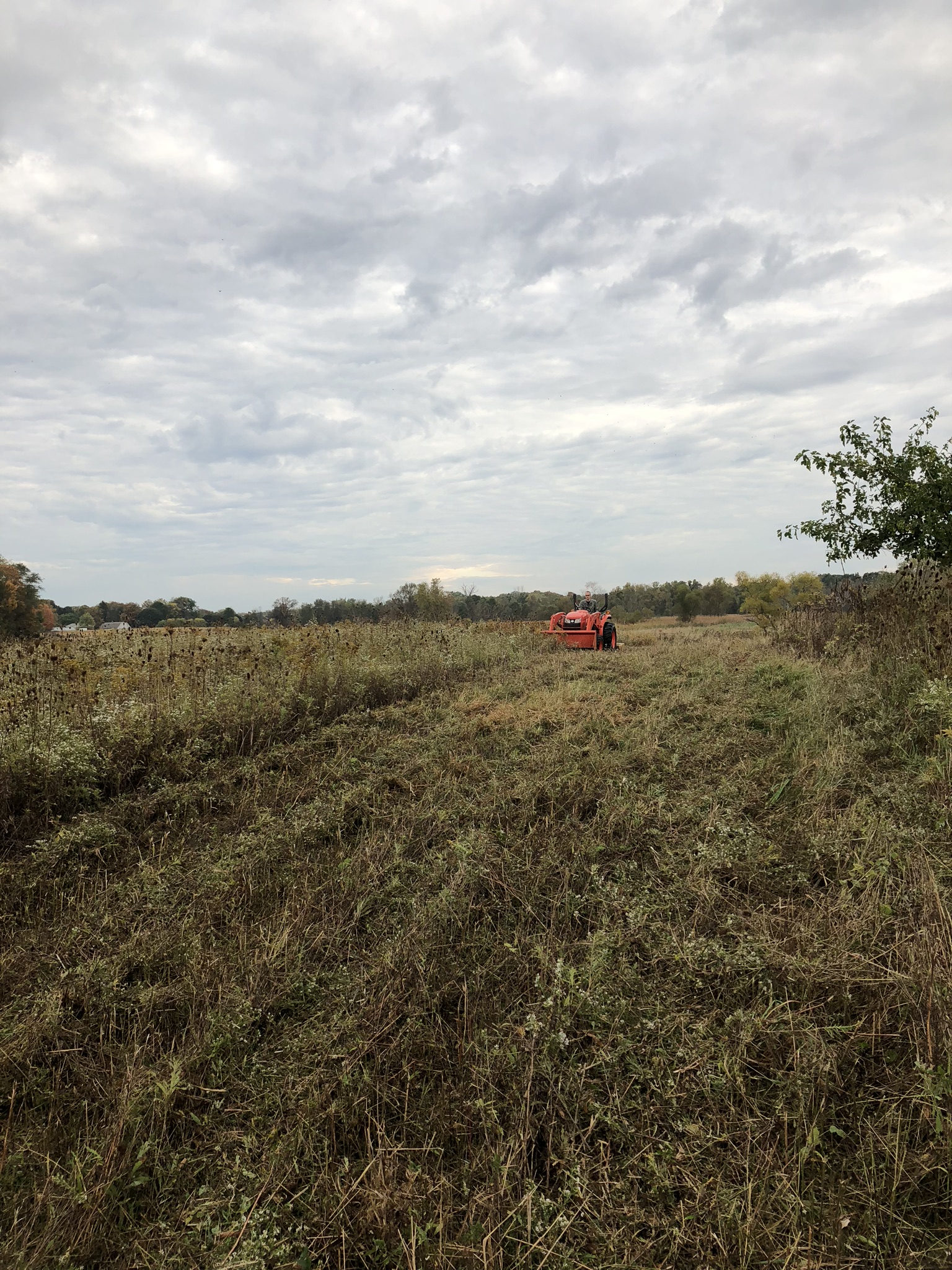 Keith on an orange tractor mowing the back field at Schmader Farms in the fall